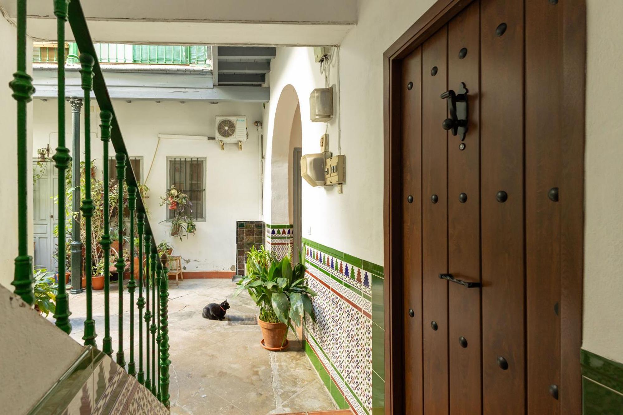 Modern Spacious Apartment Central Of Siviglia Esterno foto